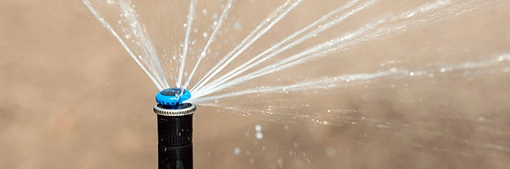 sprinkler in action watering