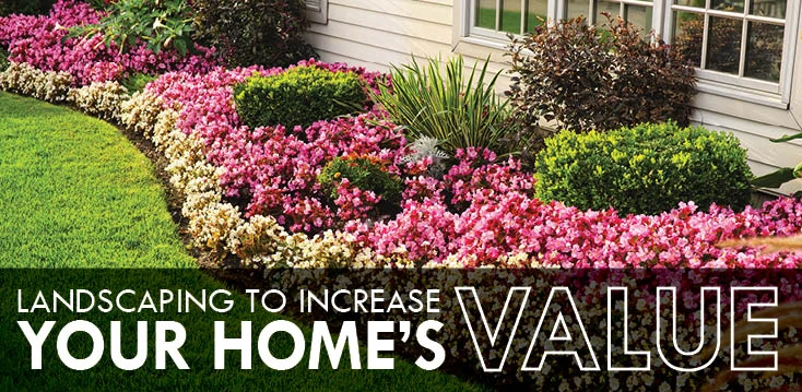 Flower bed and lawn with text-Landscaping to increase your home's value