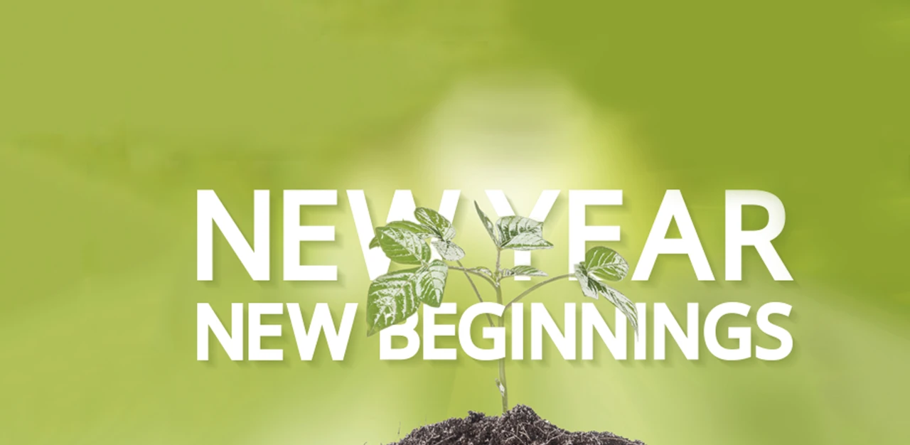 Sprouting plant with text-New year new beginnings