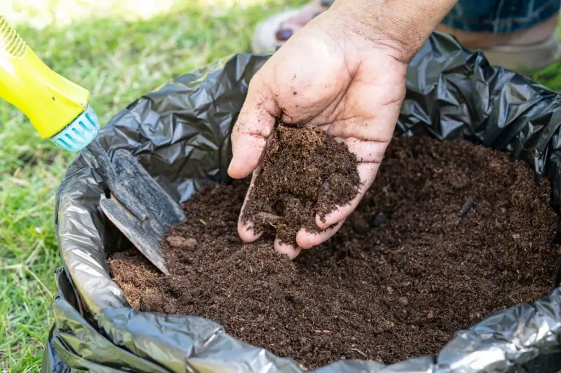 What Is Peat Moss Pros And Cons