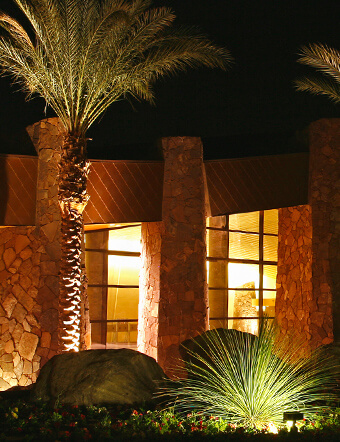 commercial landscaping illuminated by lighting outside a Jacksonville beach business.