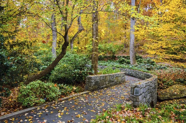 Fall in Georgia
