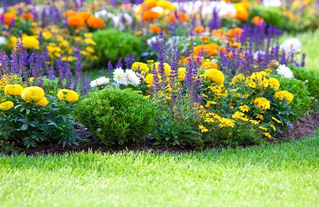 A well-landscaped garden bed filled with a variety of flowers.