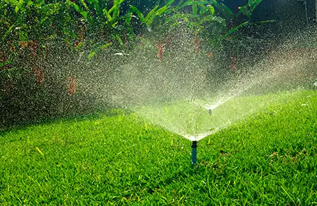 Sprinkler system spraying green lawn and plants with water.