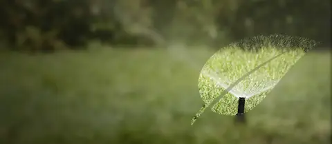 Sprinkler head spraying water onto lawn.