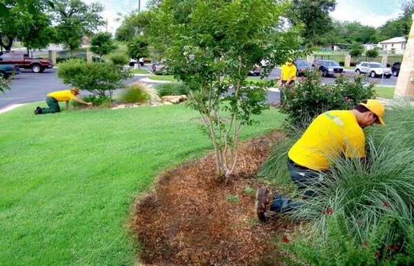 Grounds Guys working on commercial landscape installation.