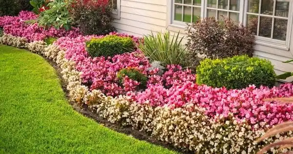 Grounds Guys landscapers can help with flower maintenance