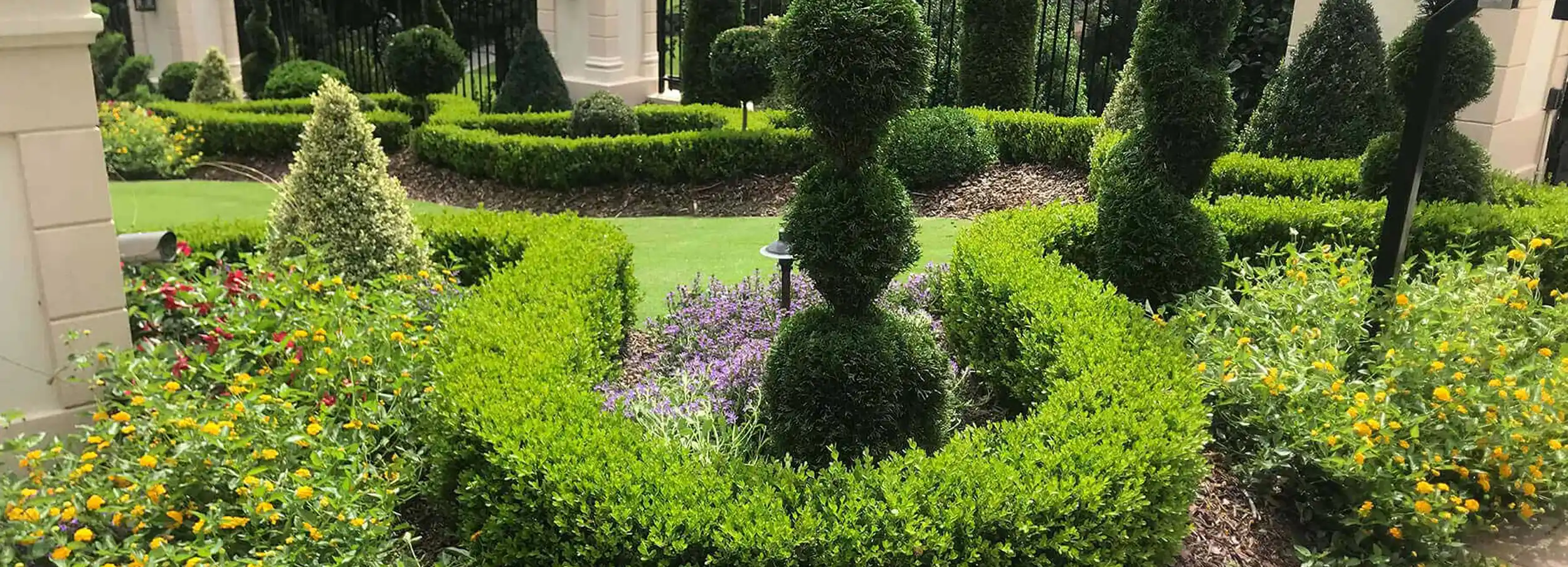 A courtyard with a well-manicured lawn, tall topiaries, hedges, and flowers.