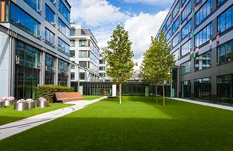 Manicured commercial lawn surrounded by office buildings.
