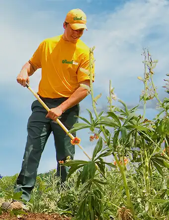 Grounds Guys employee holding the long handle of a garden tool with plants in the foreground.