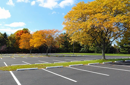 parking lot with fall trees