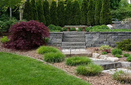Backyard with stone retaining wall, path, shrubs, and evergreens framing the space.