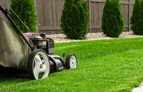 Lawnmower being used on a small area of lawn, which is framed by spaced-out shrubs and a fence.
