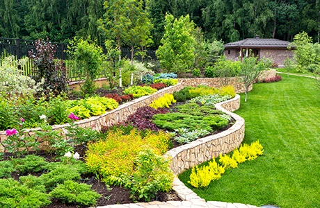 Landscape Plant Design Irvine